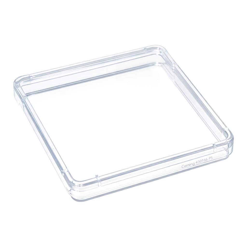 Merck Corning square bioassay dishes