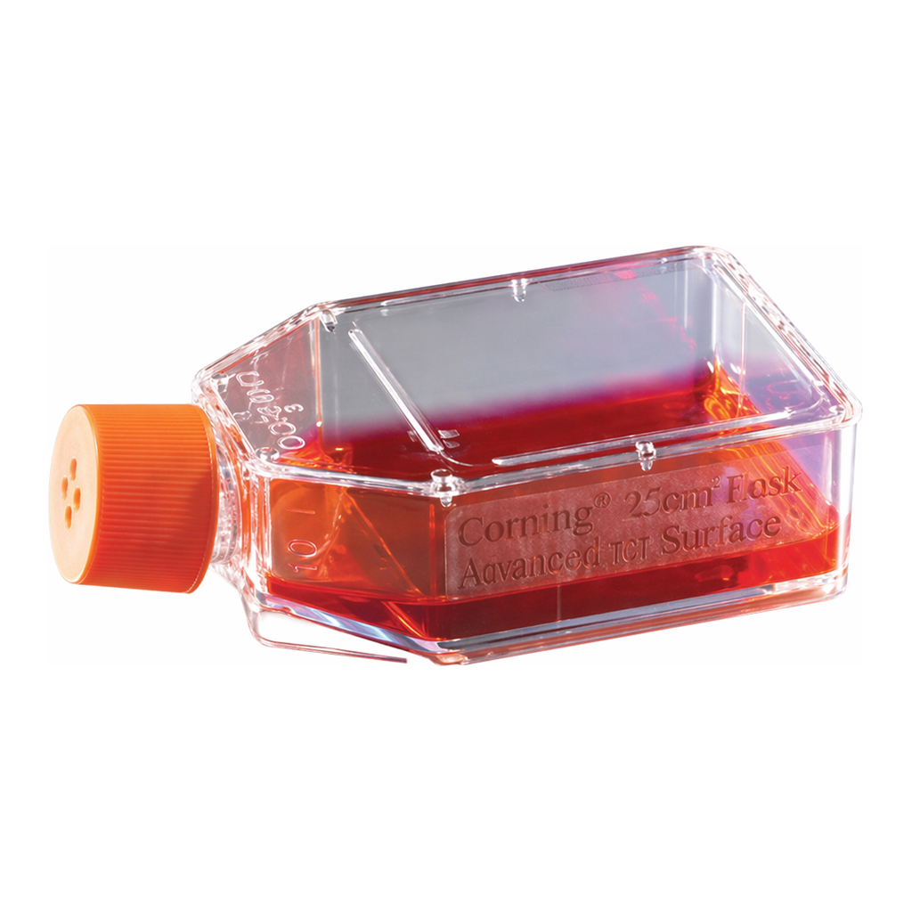 Merck Corning Ultra-Low attachment cell culture flasks