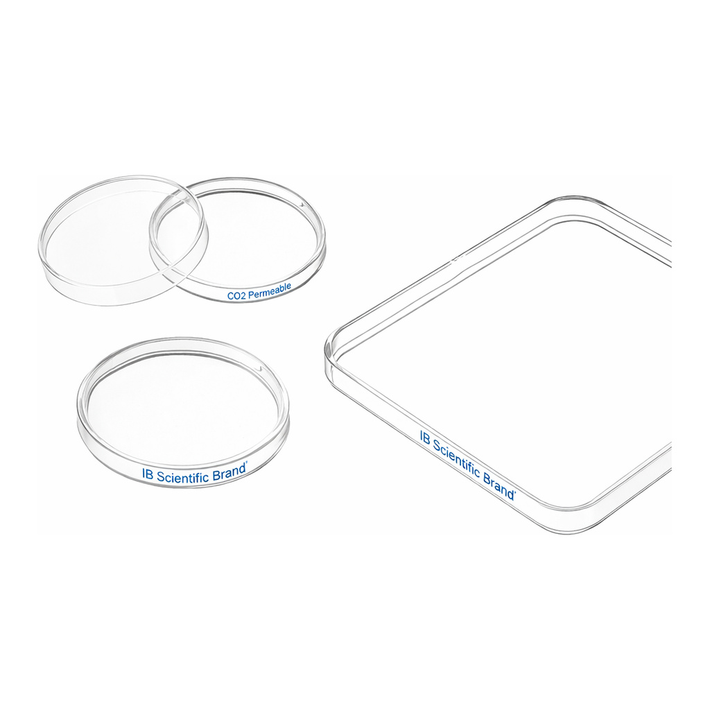 Merck Greiner dishes