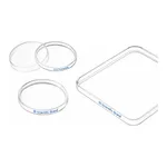 Merck Greiner dishes