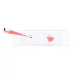 Merck Microscope slide wells, 2-wells