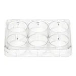 Merck Nunc Cell-Culture Treated Multidishes