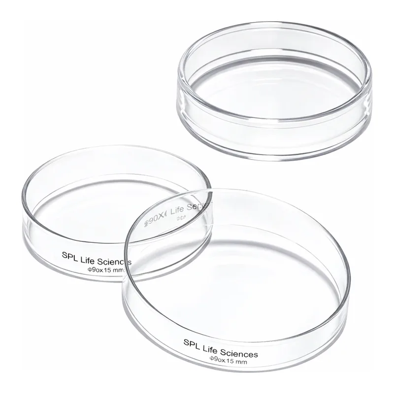 Merck Pyrex Petri dish