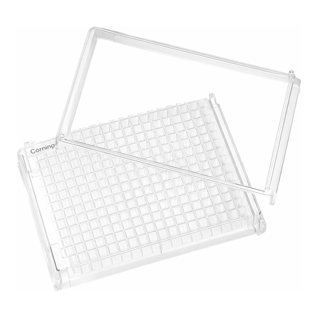 Merck Corning 384 well microplate
