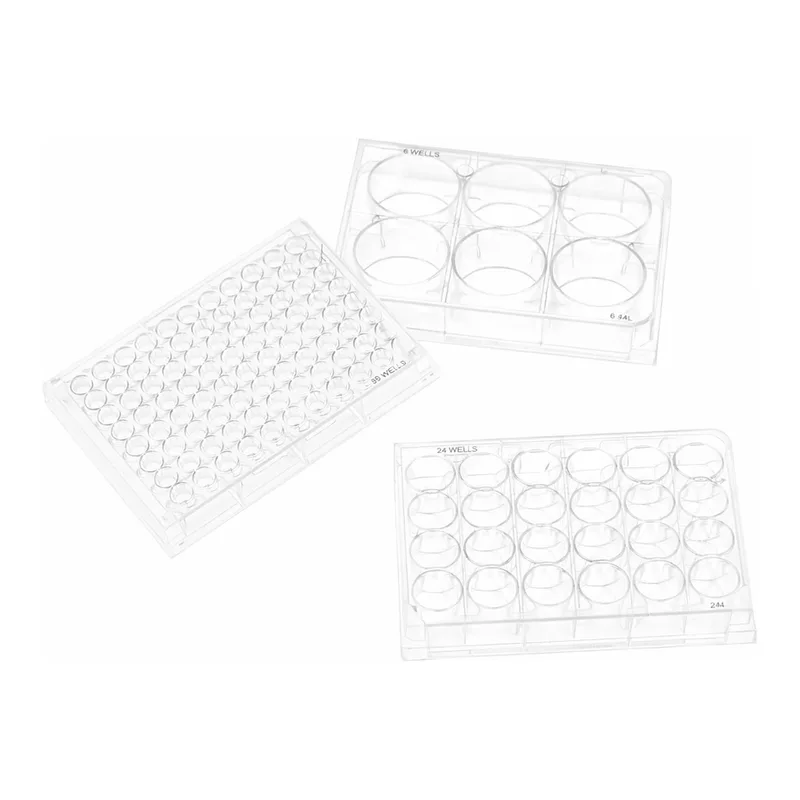 Merck Corning Costar TC-Treated Multiple Well Plates