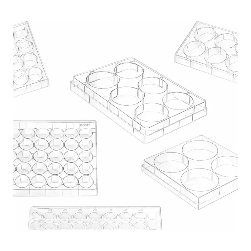Merck Greiner CELLSTAR multiwell culture plates