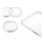Merck Greiner dishes