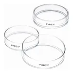 Merck Pyrex Petri dish