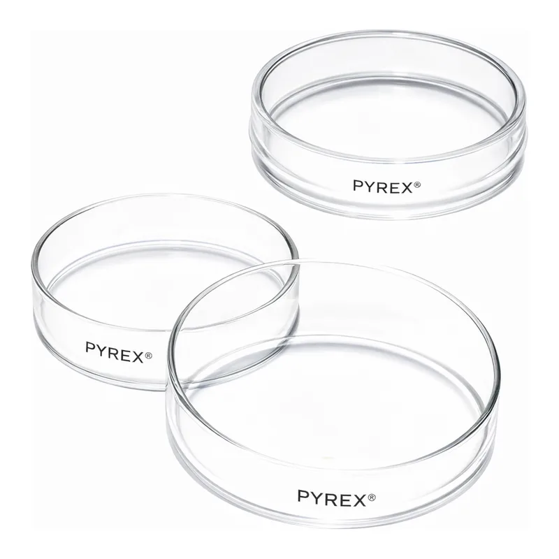 Merck Pyrex Petri dish