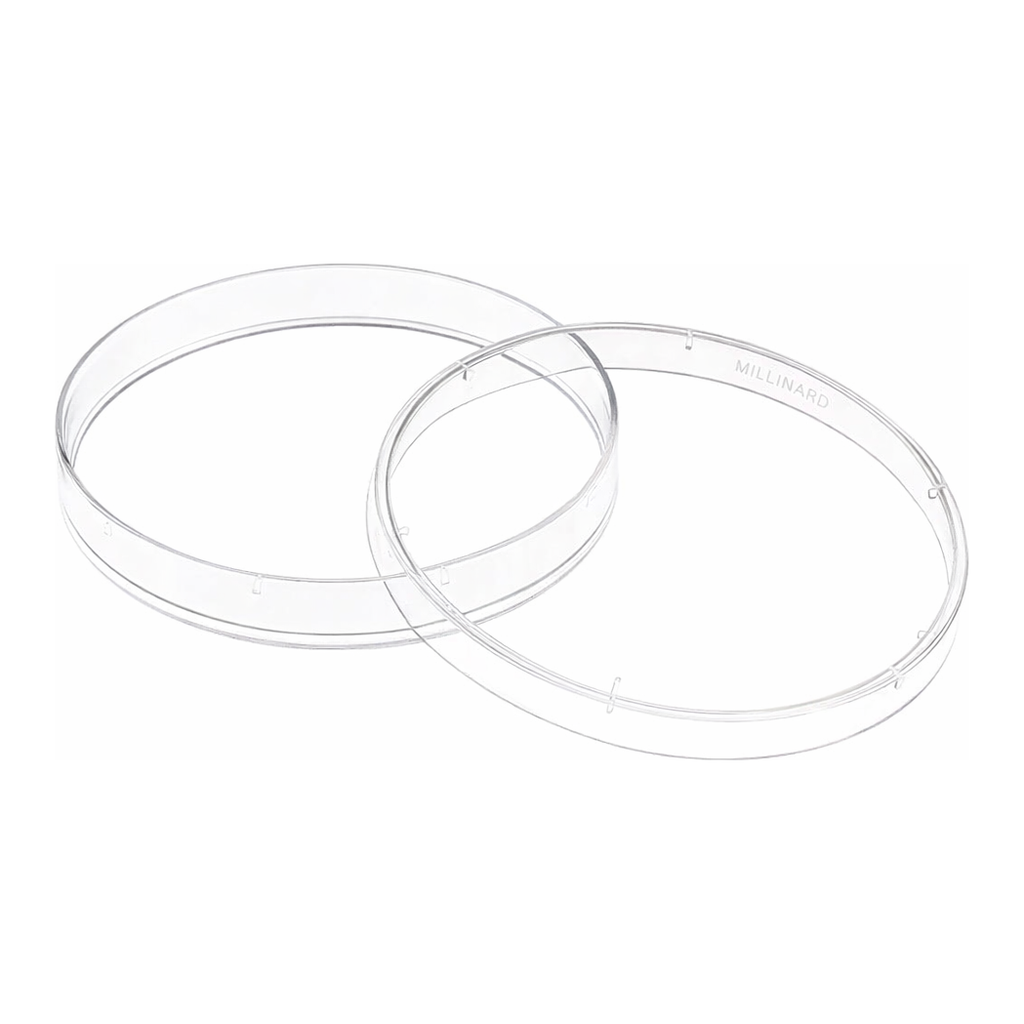 Merck Corning non-treated culture dishes