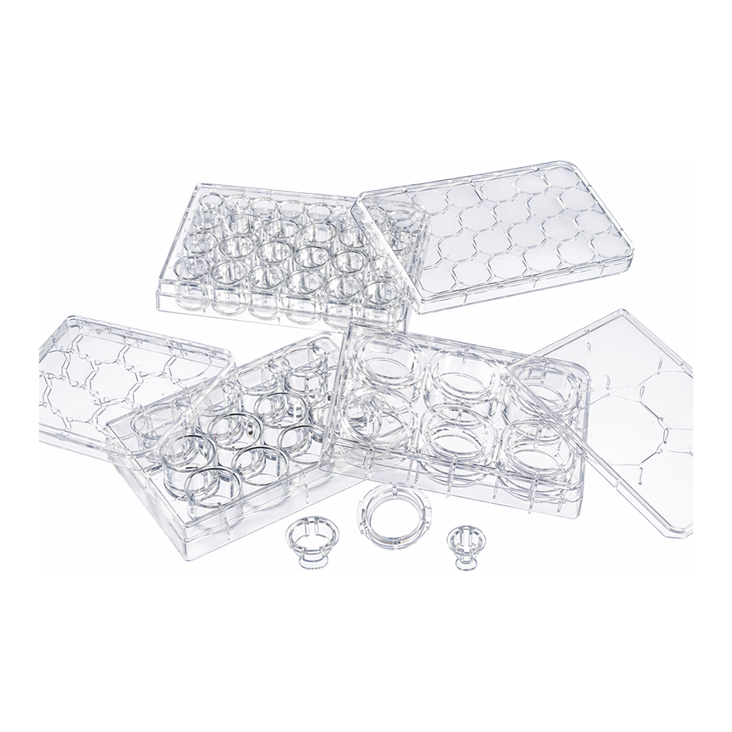 Merck Corning Transwell polyester membrane cell culture inserts