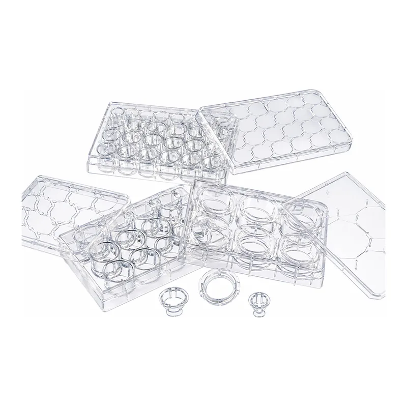 Merck Corning Transwell polyester membrane cell culture inserts