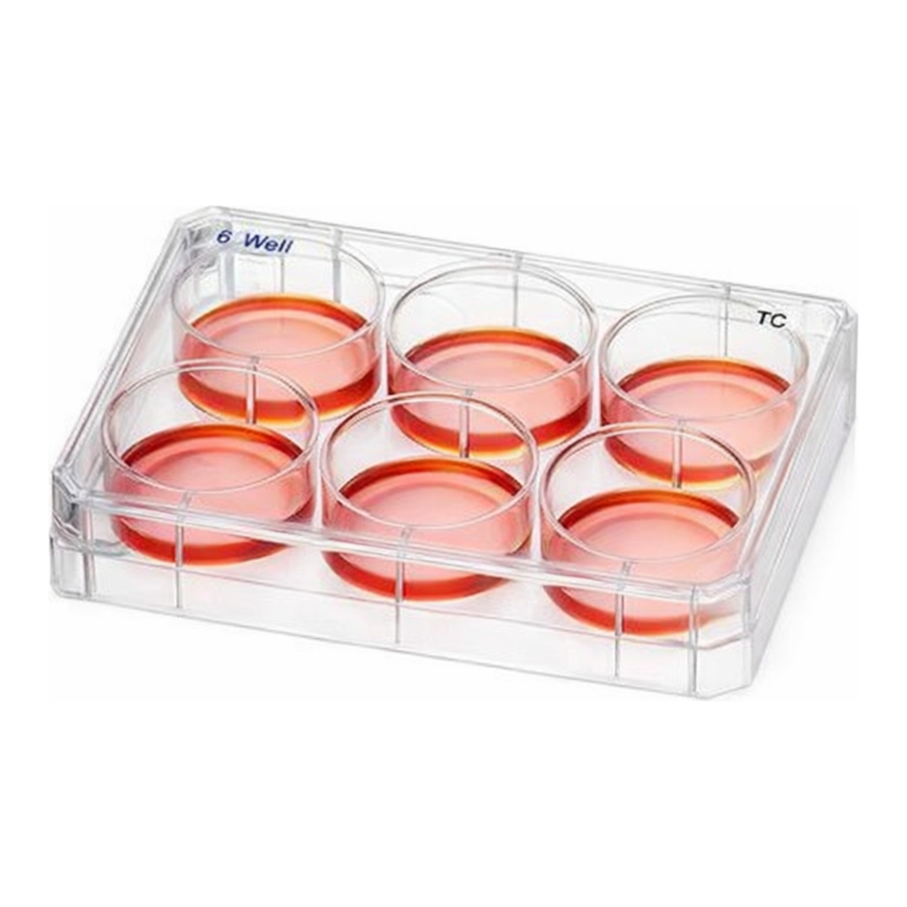 Merck Nunc Non-Treated Multidish