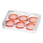Merck Nunc Non-Treated Multidish