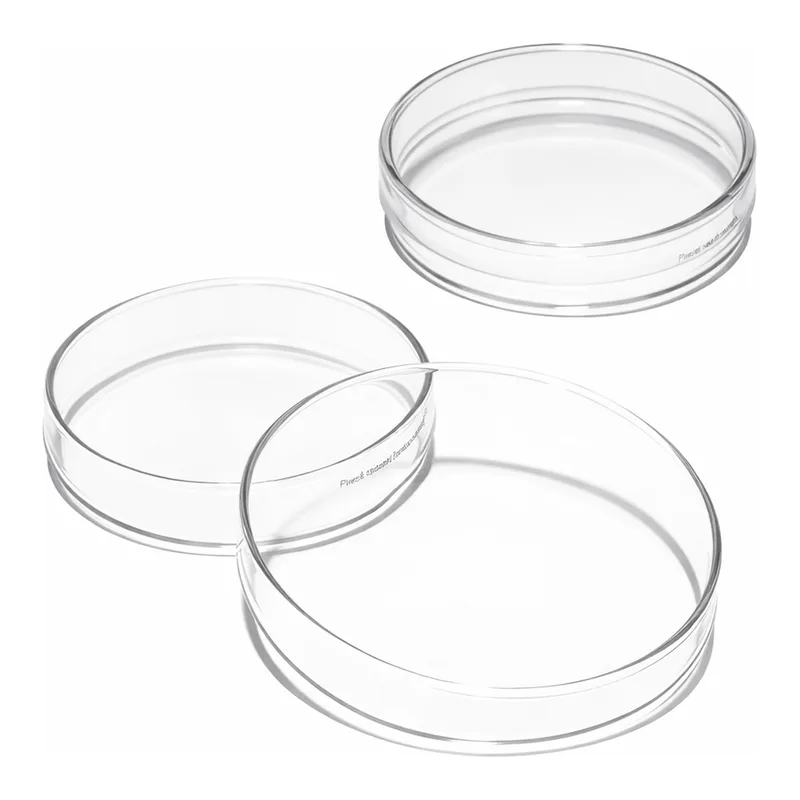Merck Pyrex Petri dish