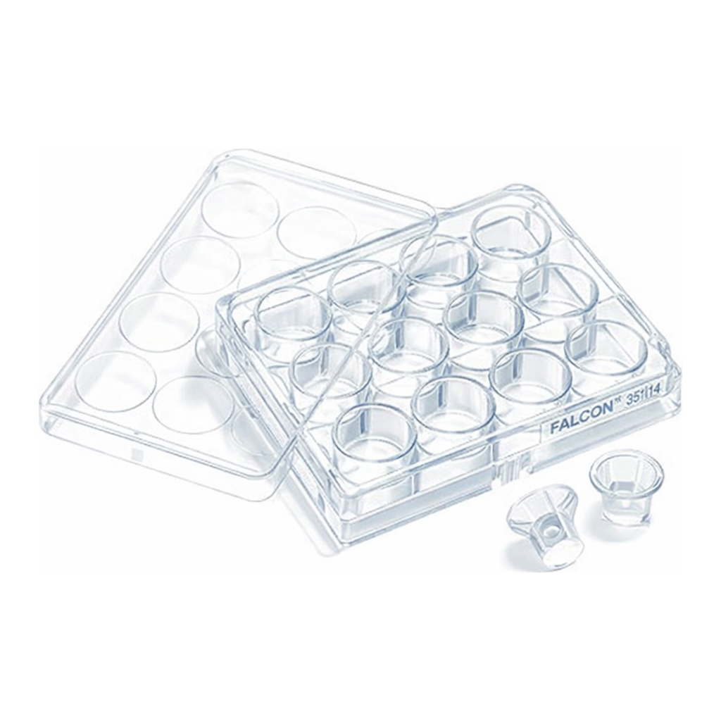 Merck Corning Transwell polycarbonate membrane cell culture inserts