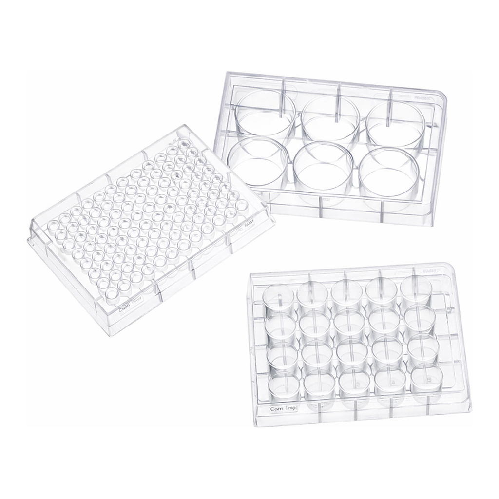 Merck Corning 96 Well TC-Treated Microplates