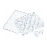Merck Corning Transwell polycarbonate membrane cell culture inserts