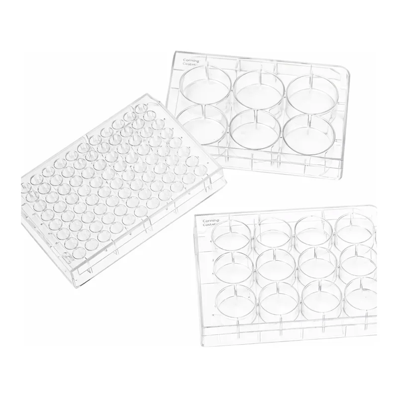 Merck Corning Costar TC-Treated Multiple Well Plates