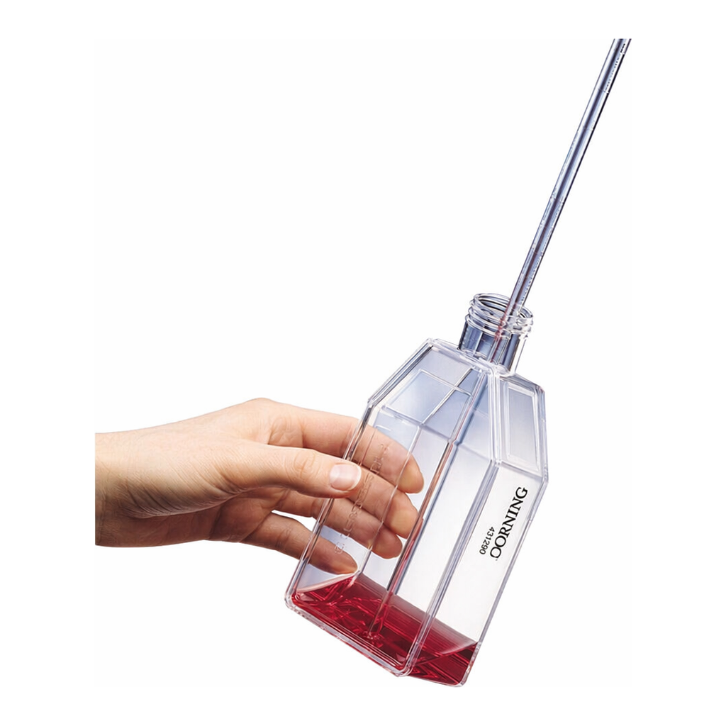 Merck Corning CellBIND Surface cell culture flasks