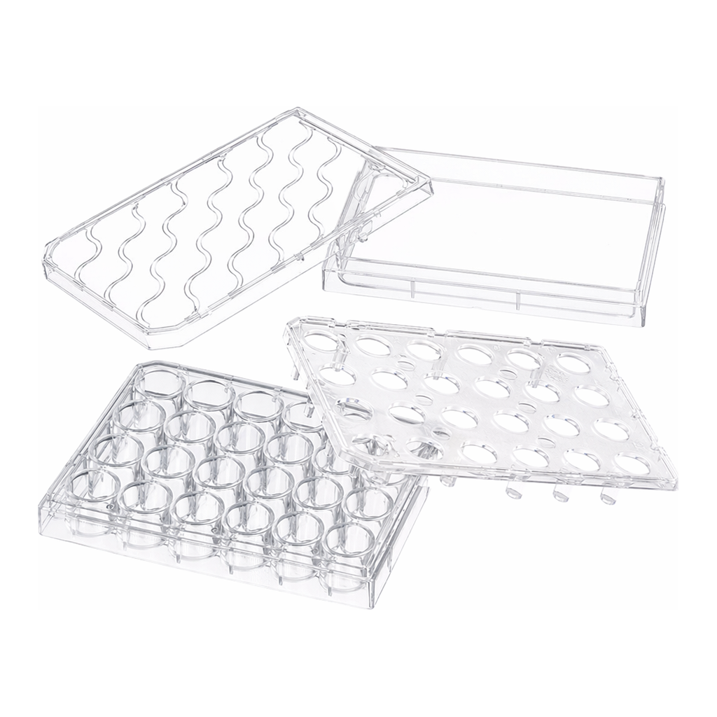 Merck Corning HTS Transwell-24 well permeable supports