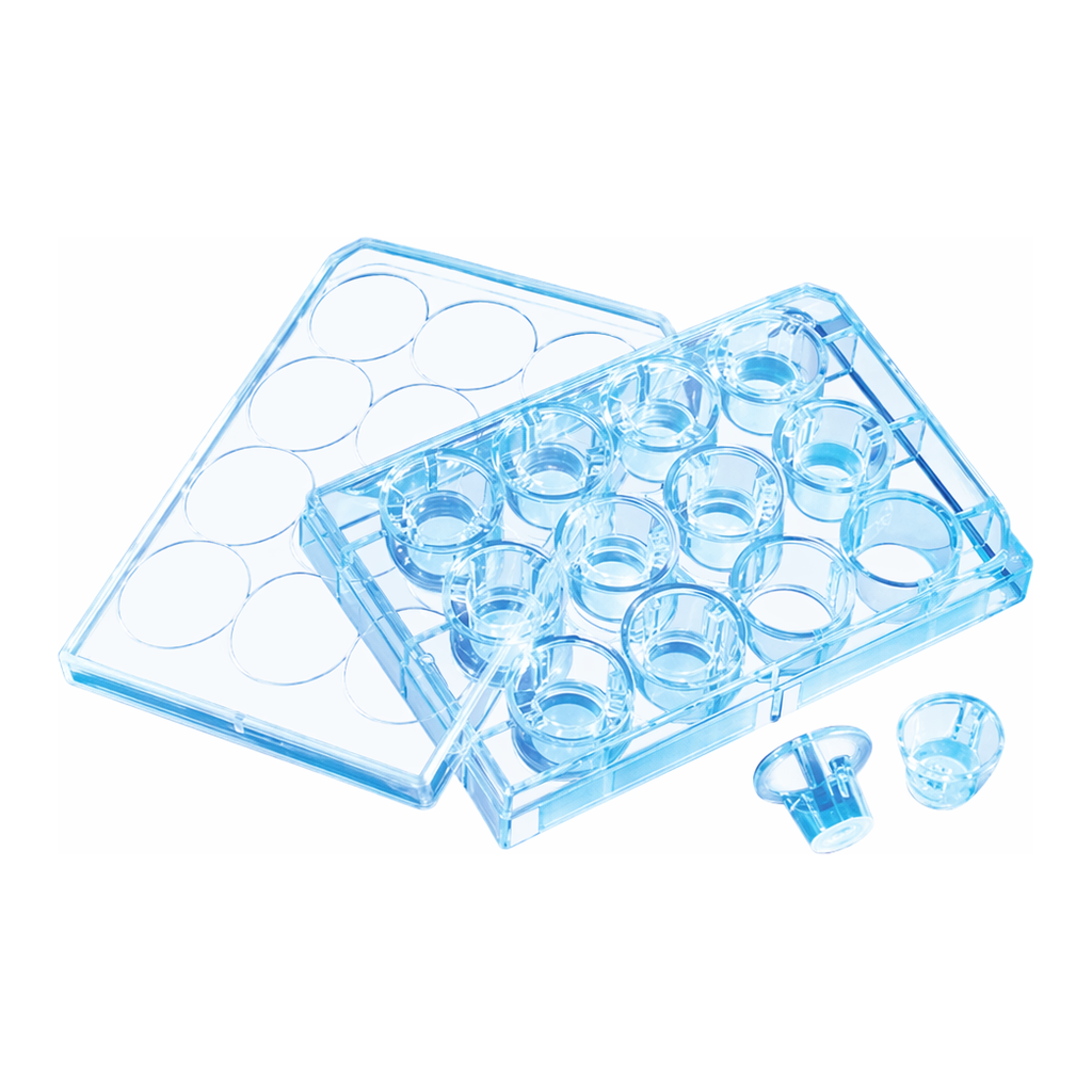 Merck Corning Transwell polycarbonate membrane cell culture inserts
