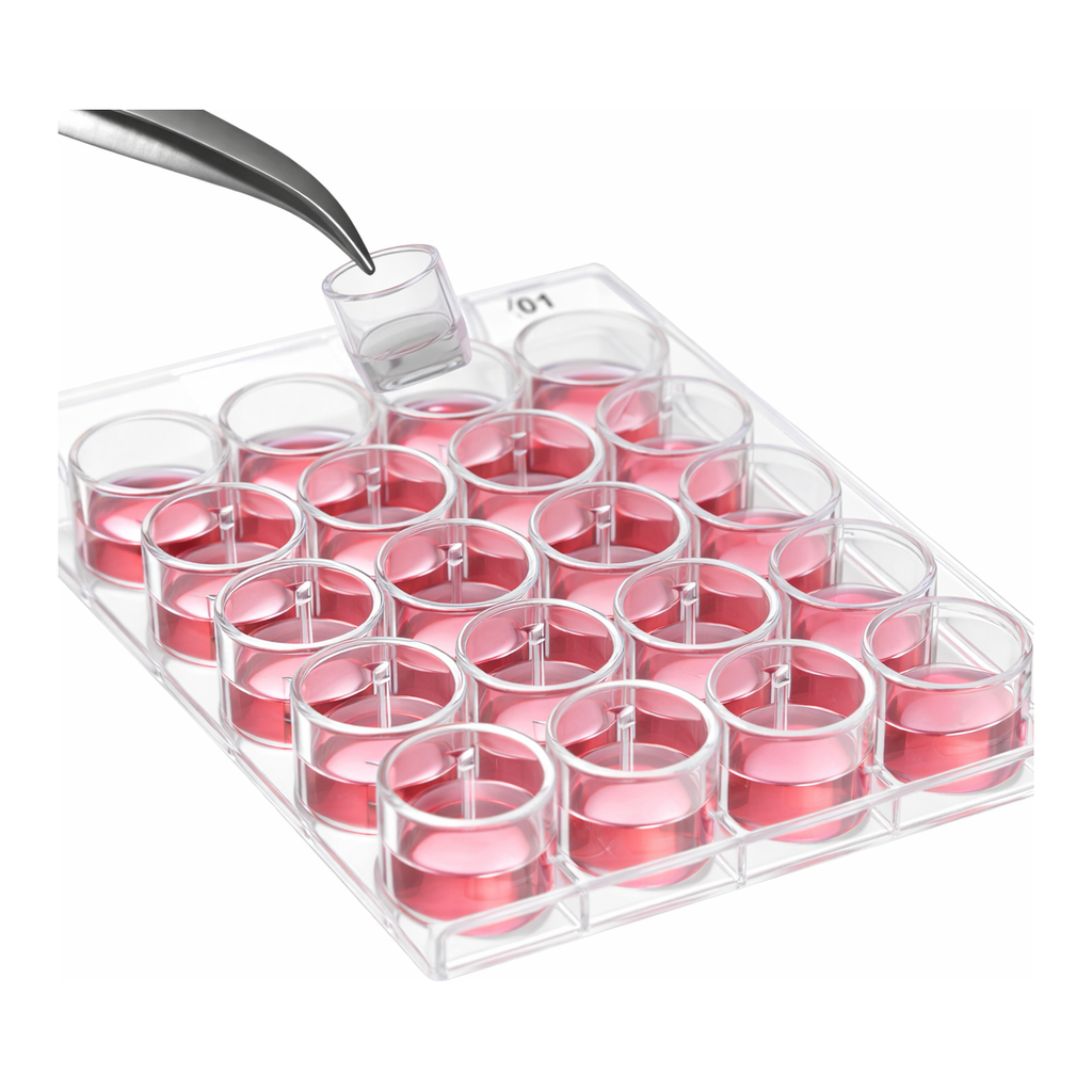 Merck Millicell Cell Culture Insert, 30 mm, hydrophilic PTFE, 0.4 µm