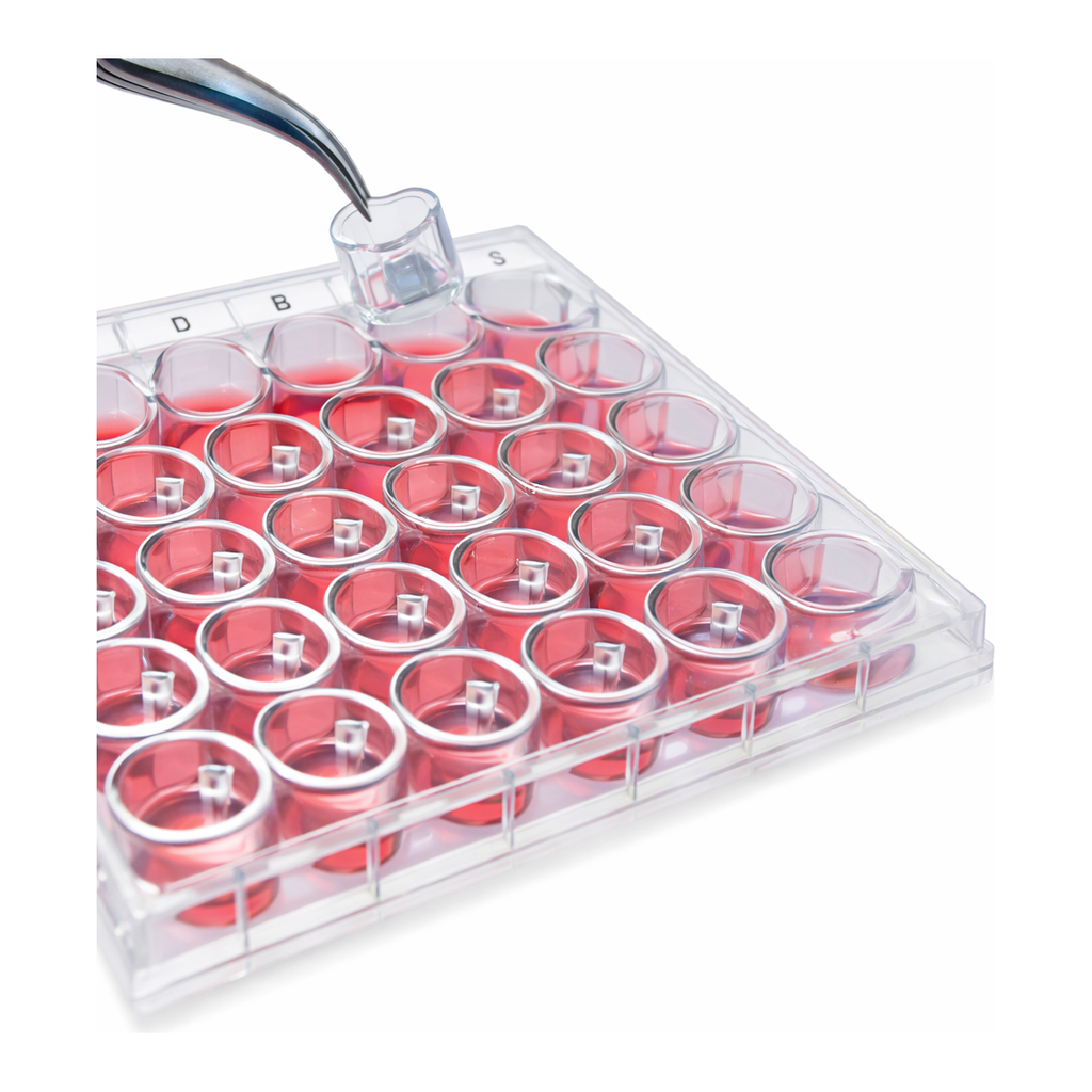 Merck Millicell Cell Culture Insert, 30 mm, hydrophilic PTFE, 0.4 µm