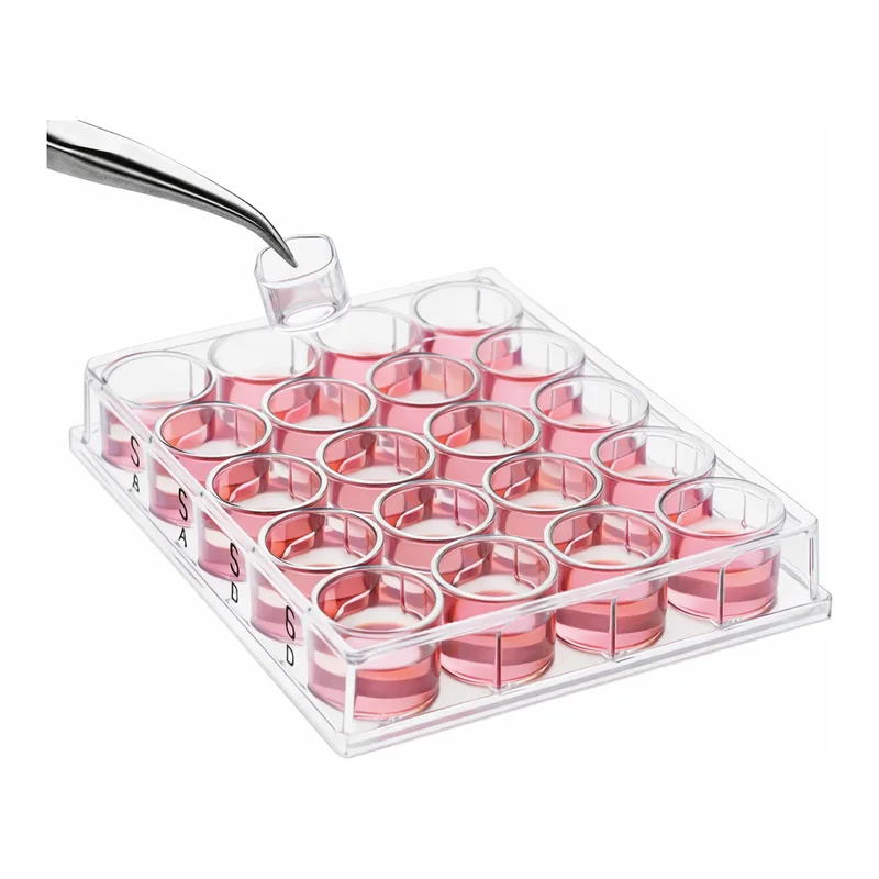 Merck Millicell Cell Culture Insert, 12 mm, polycarbonate, 0.4 µm