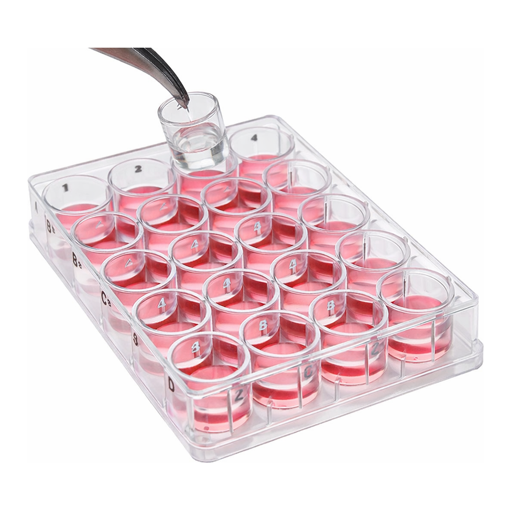 Merck Millicell Cell Culture Insert, 12 mm, polycarbonate, 8.0 µm