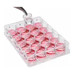 Merck Millicell Cell Culture Insert, 12 mm, polycarbonate, 8.0 µm