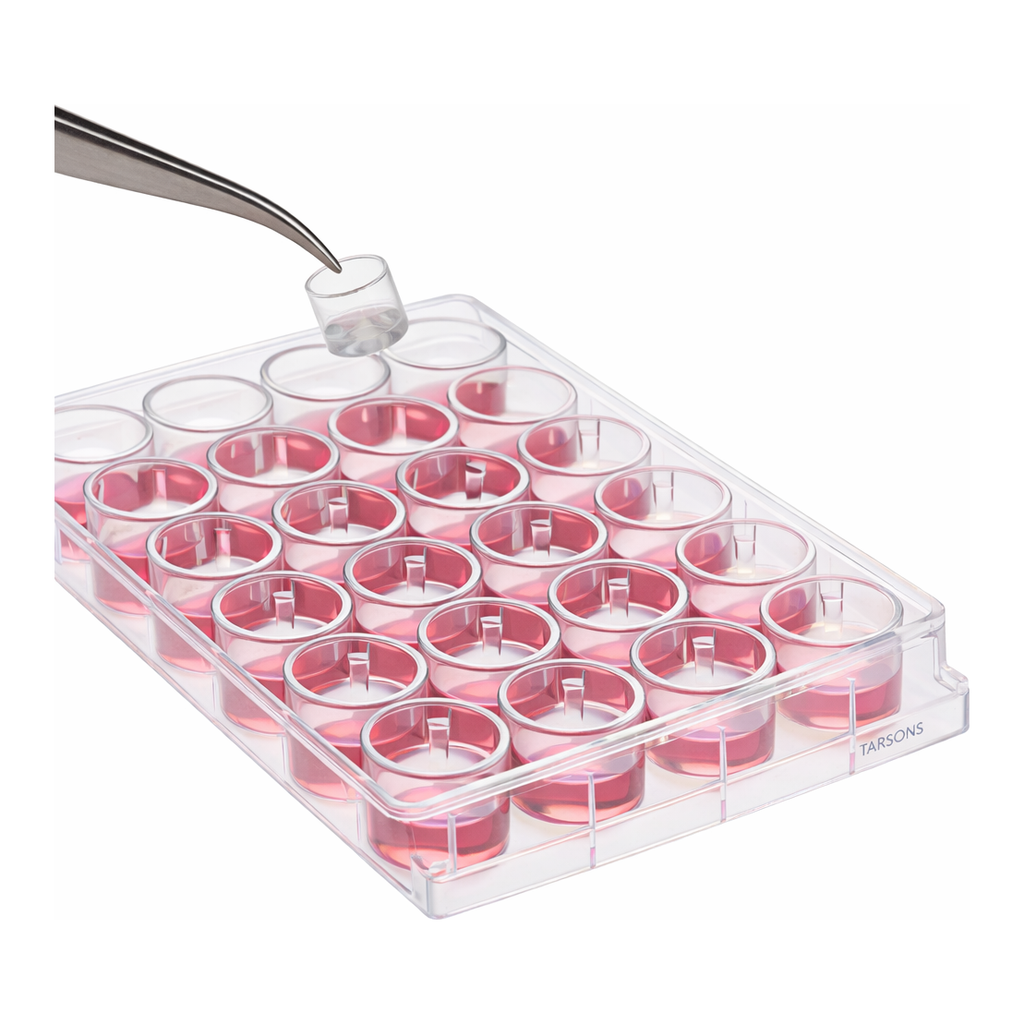 Merck Millicell Cell Culture Insert, 12 mm, polycarbonate, 3.0 µm