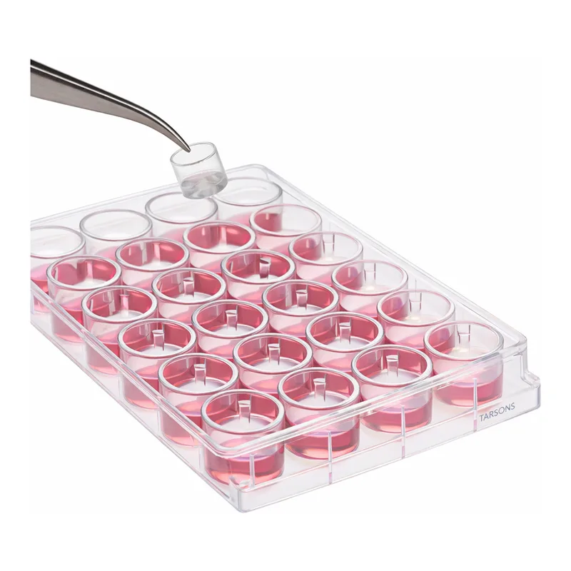 Merck Millicell Cell Culture Insert, 12 mm, polycarbonate, 3.0 µm