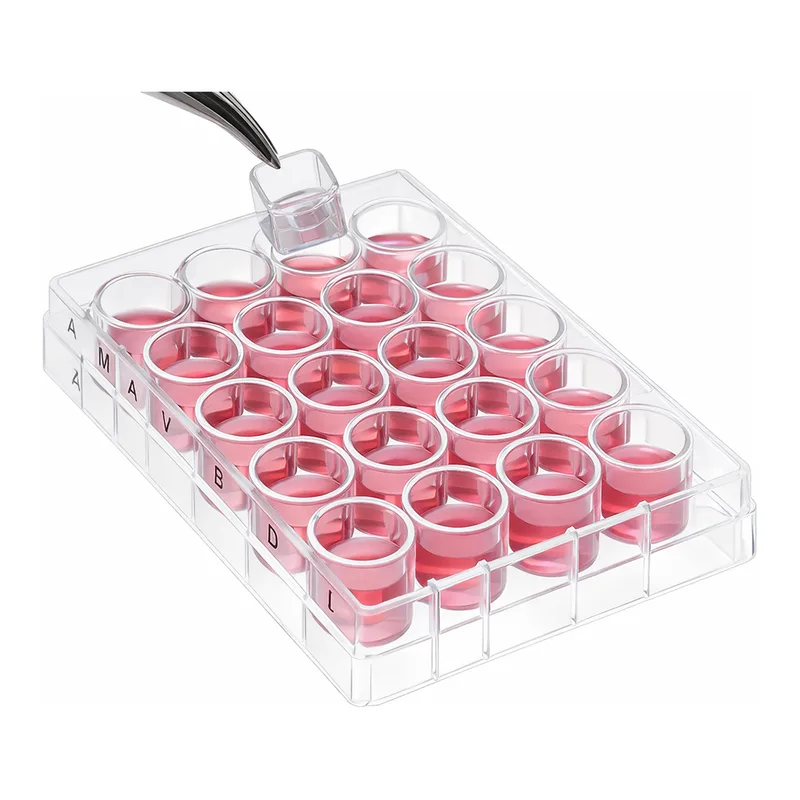 Merck Millicell Cell Culture Insert, 12 mm, HA mixed cellulose esters, 0.45 µm