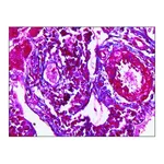 Merck Trichrome TISSUE-TROL Control Slides