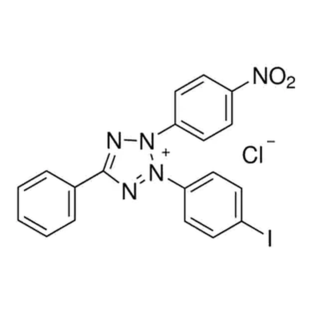 Merck Iodonitrotetrazolium chloride