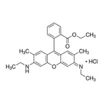 Merck Rhodamine 6G