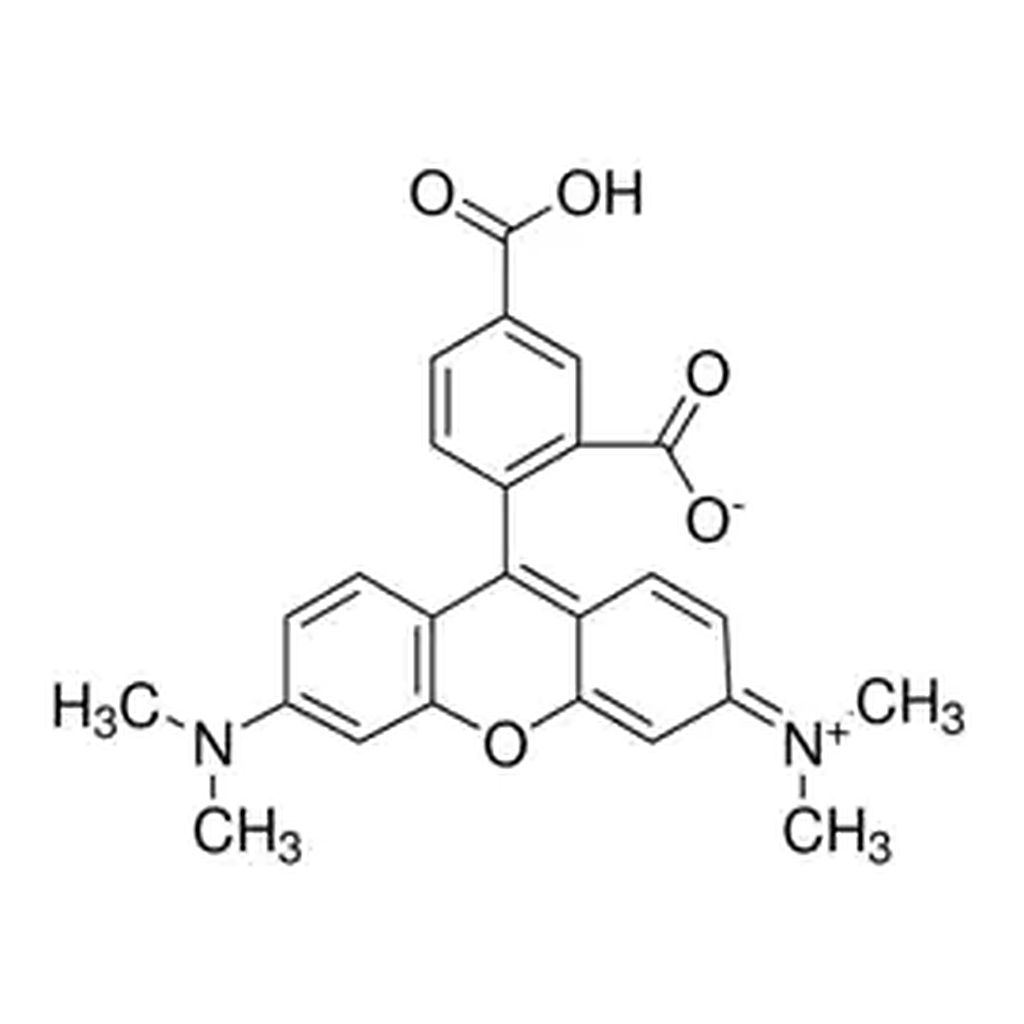 Merck 5-Carboxytetramethylrhodamine