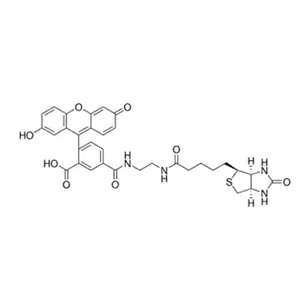 Merck Biotin-4-Fluorescein