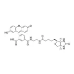 Merck Biotin-4-Fluorescein