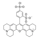 Merck Sulforhodamine 101 acid chloride