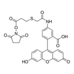Merck Fluorescein-5-EX N-hydroxysuccinimide ester