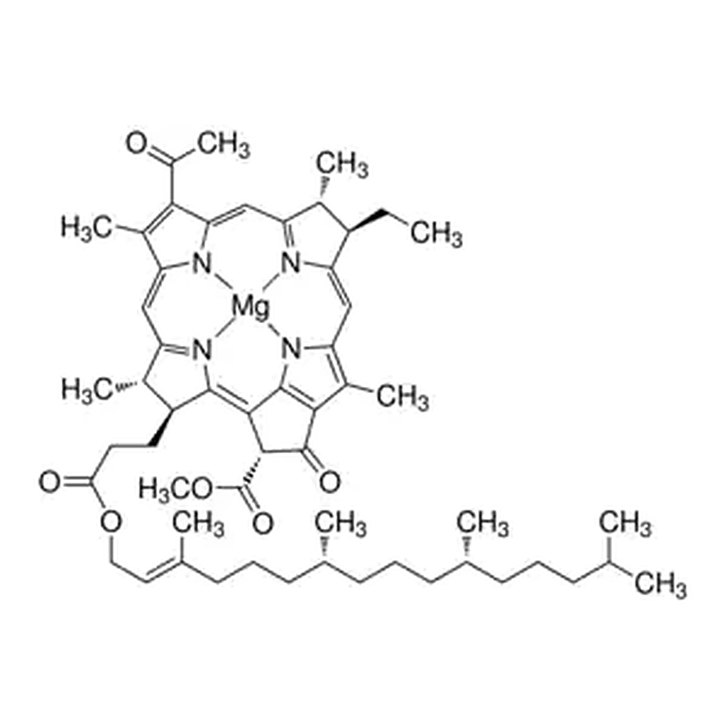 Merck Bacteriochlorophyll from Rhodopseudomonas sphaeroides