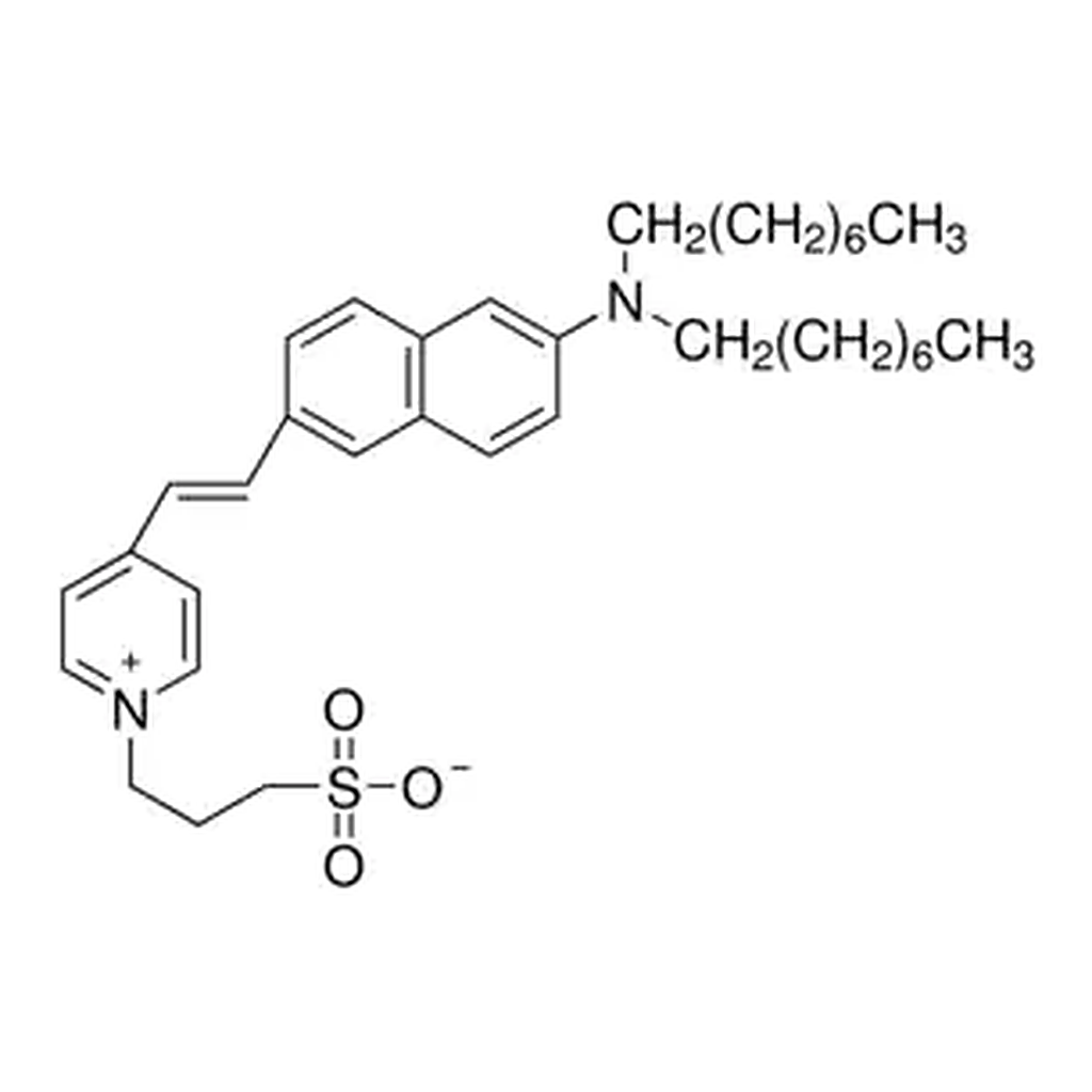 Merck 4-(2-[6-(Dioctylamino)-2-naphthalenyl]ethenyl)-1-(3-sulfopropyl)pyridinium inner salt