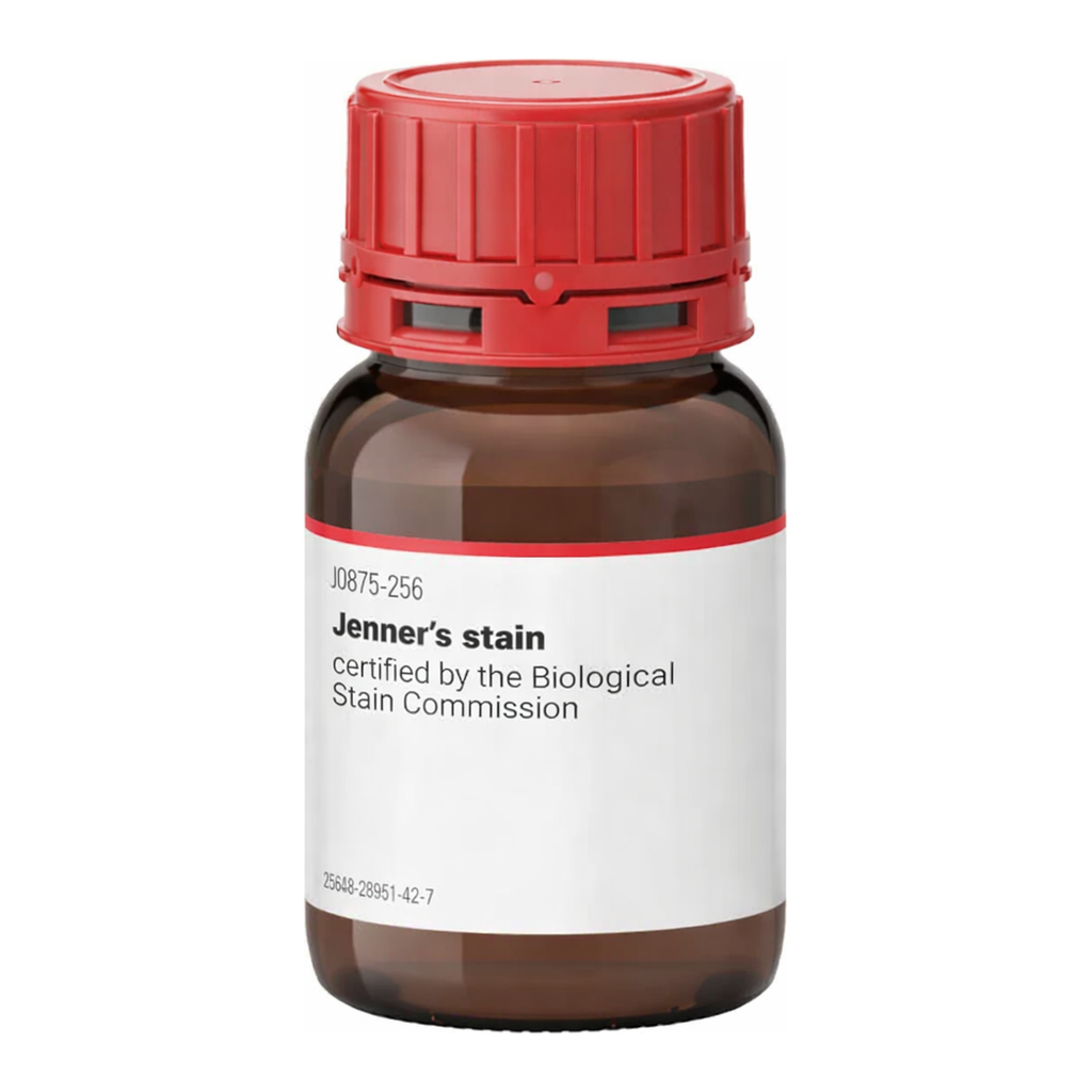 Merck Jenner′s stain