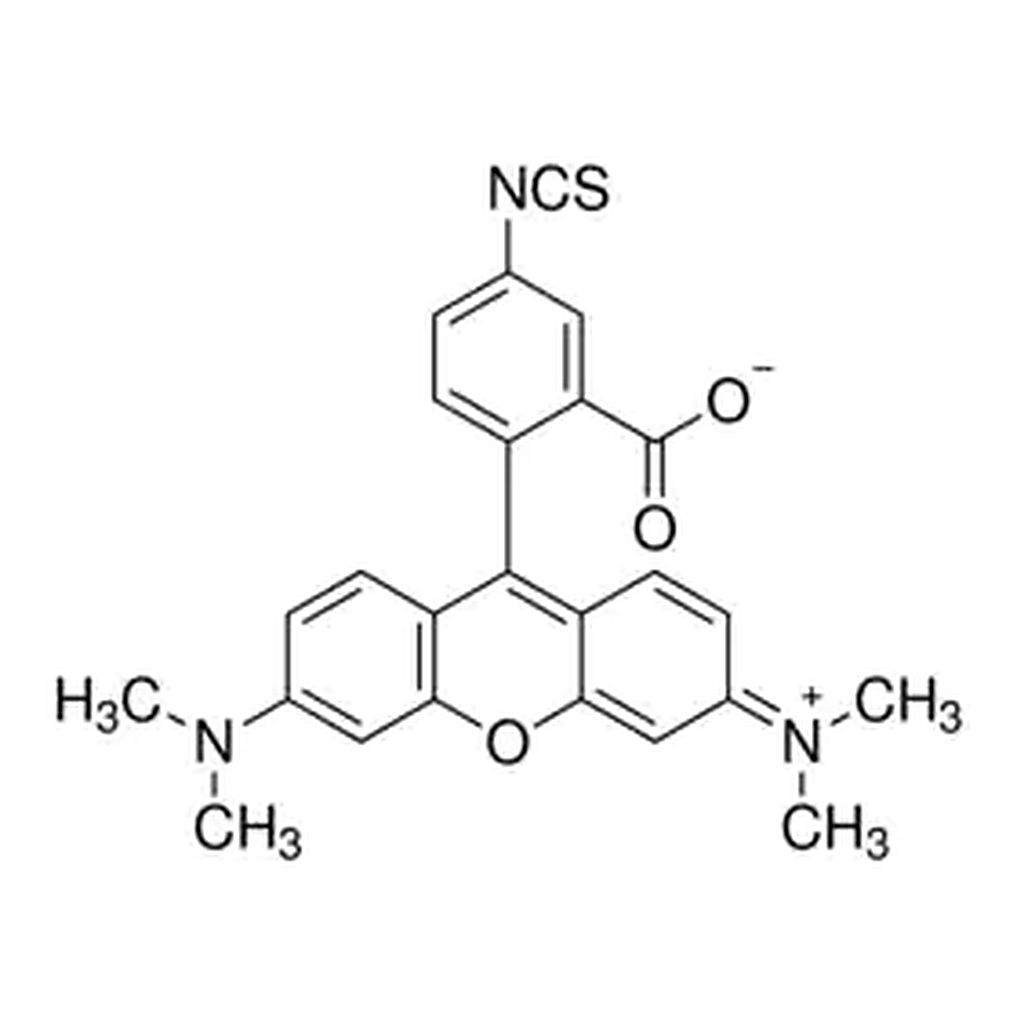 Merck Tetramethylrhodamine-5-isothiocyanate