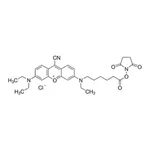Merck 9-Cyano-N,N,N′-triethylpyronine-N′-caproic acid N-hydroxysuccinimide ester chloride