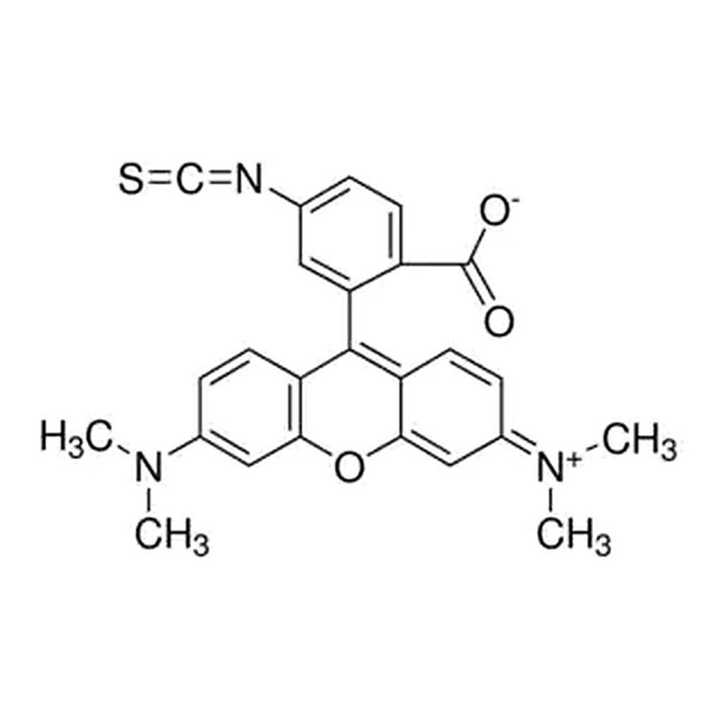 Merck Tetramethylrhodamine isothiocyanate Isomer R