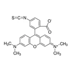 Merck Tetramethylrhodamine isothiocyanate Isomer R