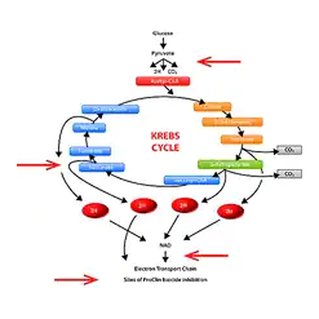 Merck ProClin 950
